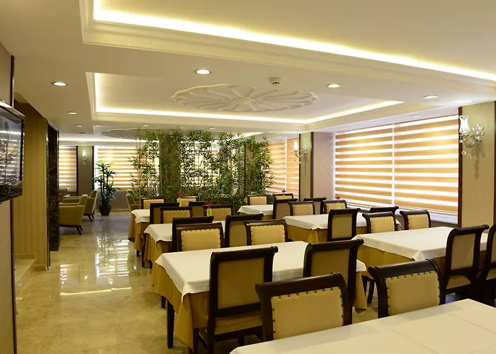 酒店 大巴扎酒店