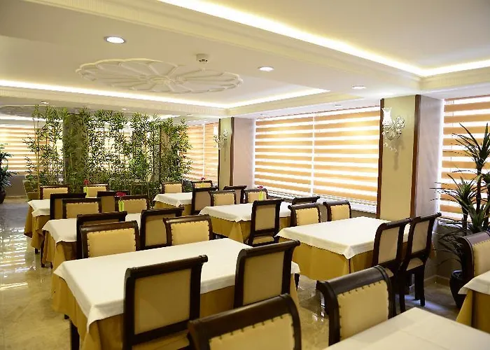 大巴扎酒店 酒店