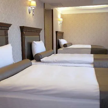 大巴扎酒店 伊斯坦布尔