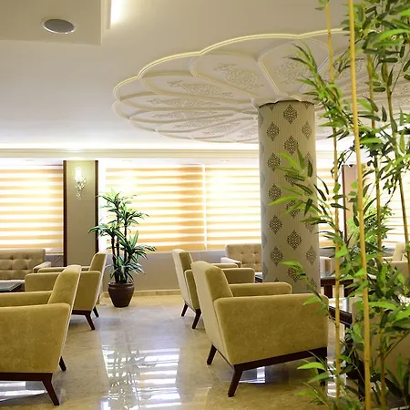 大巴扎酒店 酒店